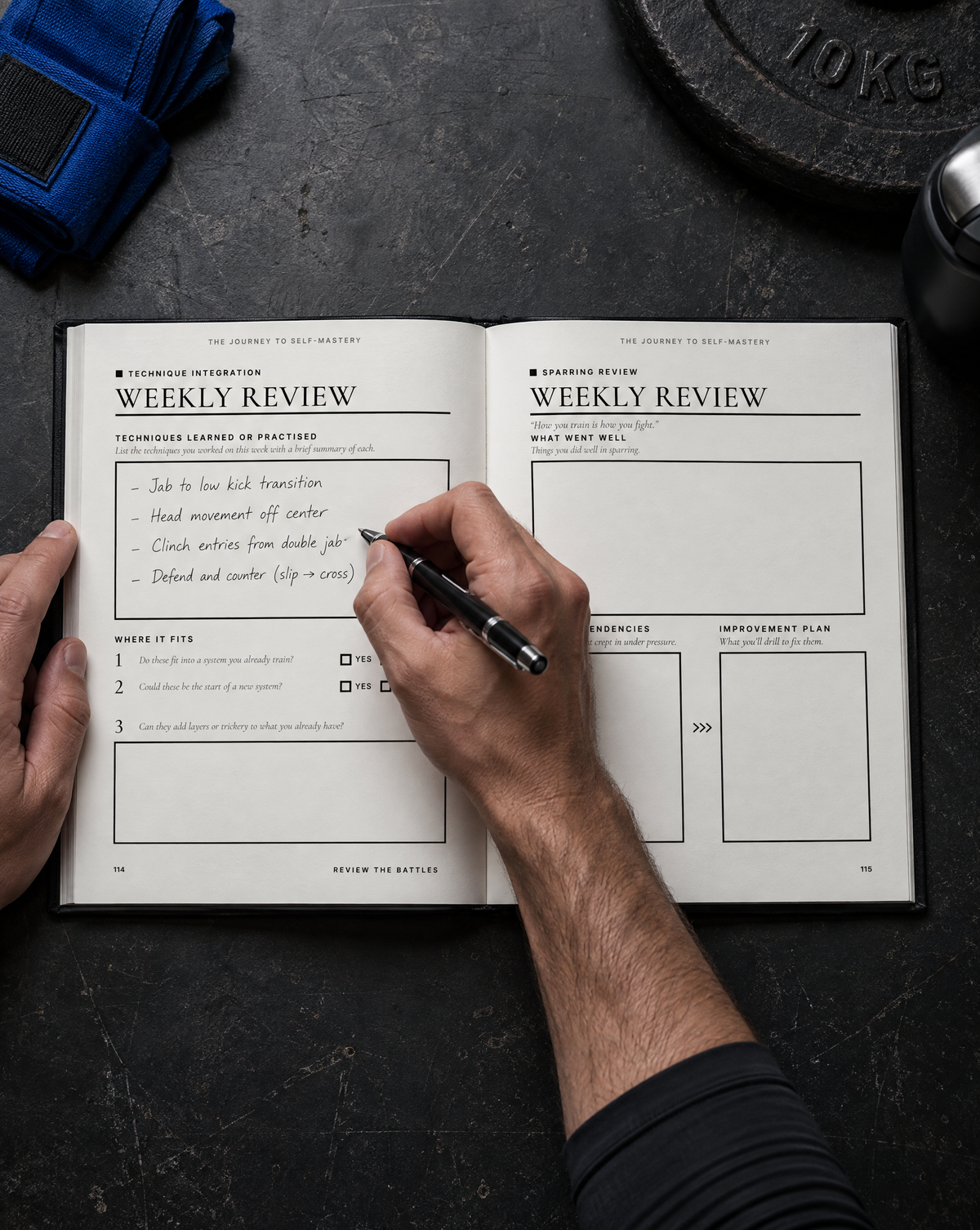 A fighter writing in the DOTG Technique Integration weekly review on page 114